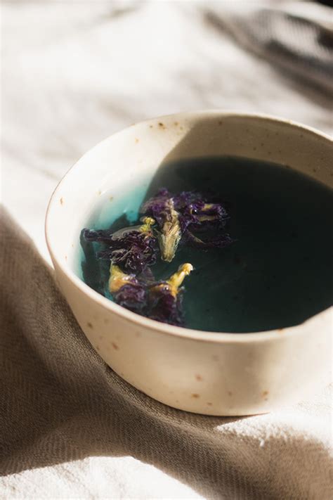 Butterfly Pea Tea Recipe Sunberry Jam