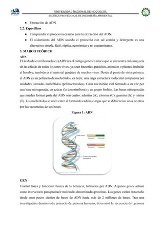 Electroforesis Y Extracion De Adn Pdf