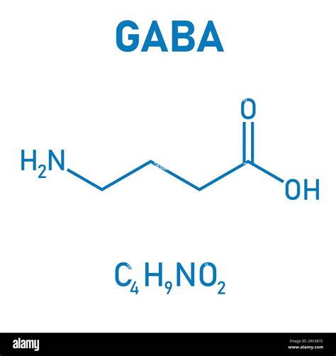 Estructura Qu Mica Del Cido Aminobut Rico O Cido Gamma