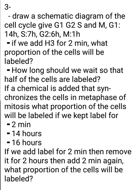 Solved 3 Draw A Schematic Diagram Of The Cell Cycle Give G1