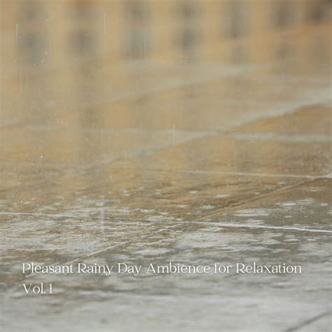 Pleasant Rainy Day Ambience For Relaxation Vol 1 Album By Recorder