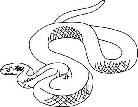 Snake Outline Drawing at PaintingValley.com | Explore collection of ...