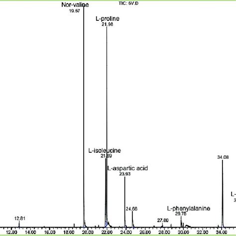 Gcms Chromatogram Of Free Amino Acids Of Tagetes Lucida Leaves Download Scientific Diagram