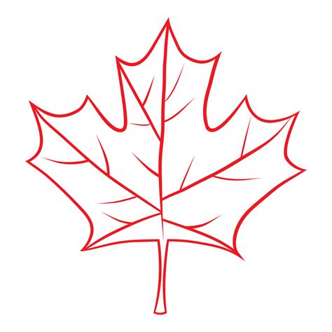 Canadian Maple Leaf Hand Draw Illustration 23822712 Vector Art At Vecteezy