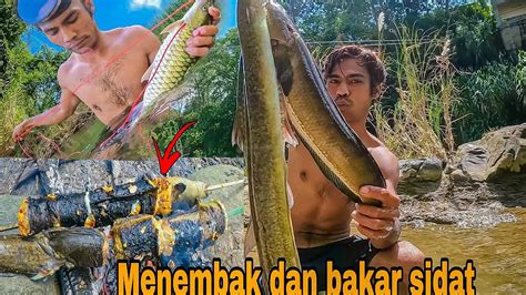 Menembak Ikan Dan Bakar Sidat Youtube