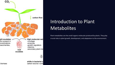 Ppt Plant Metabolites As Nutraceuticals Navigating The Realm Of