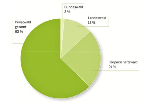 Wald In Nordrhein Westfalen Landesverband Nordrhein Westfalen