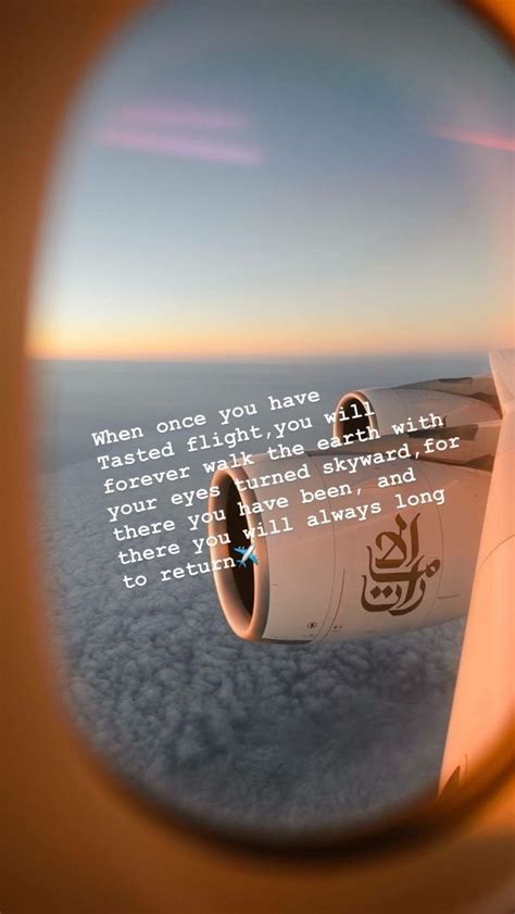 Best flight attendant cabin crew quotes – Artofit