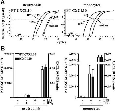 Molecular Mechanisms Underlying The Synergistic Induction Of CXCL10 By