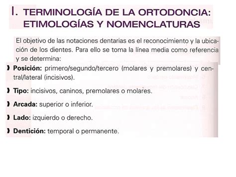 SOLUTION Terminolog A Etimolog A Y Nomenclatura En Ortodoncia Studypool