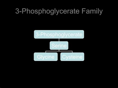 Biosynthesis of amino acids | PPT