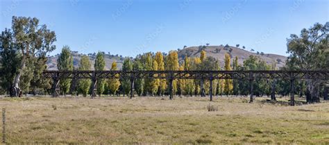 Gundagai Railway Bridge Nsw A Wonderful Example Of An Early