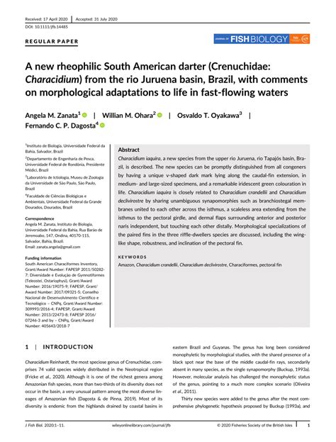 Pdf A New Rheophilic South American Darter Crenuchidae Characidium