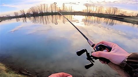 Cattura Alla Trota Esperienza Di Pesca Al Laghetto Sportivo Con La