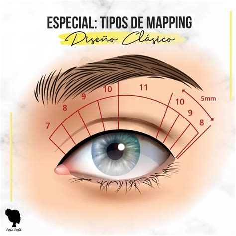 6 Tipos De Mapping De Pestañas Emma Lashmaker