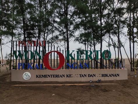 Pantai Wonokerto Pekalongan Wisata Bahari Dengan Taman Pohon Cemara