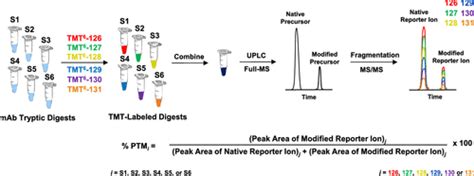 Isobaric Tandem Mass Tag Multiplexed Post Translational Modification