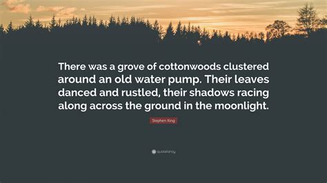 Stephen King Quote: “There was a grove of cottonwoods clustered around