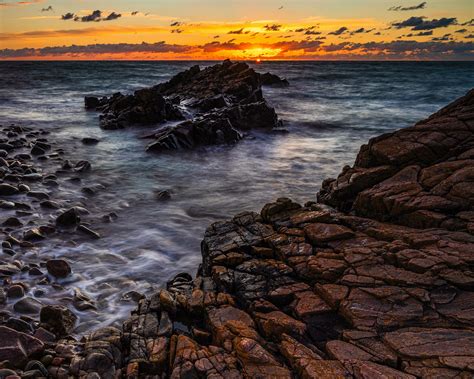 Hovs Hallar Naturreservat Sk Ne Fotograf Mikael Svensson