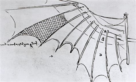 Studies of wing articulation Drawing by Leonardo Da Vinci - Pixels