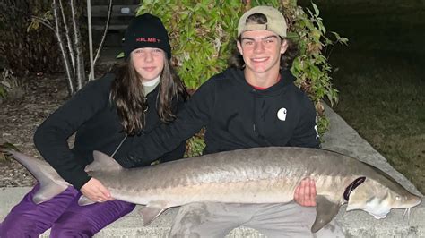 Midnight Monster Sturgeon Madness Giant Sturgeon From Shore