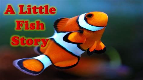 A Little Fish Story Story For Kids In English Moral Stories Learn