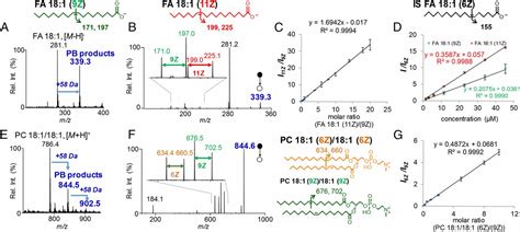 Identification And Quantitation Of Lipid C C Location Isomers A