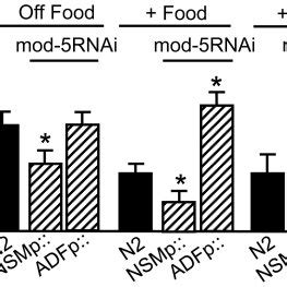 Wild-type, mutant, transgenic and RNAi expressing animals were examined ... 
