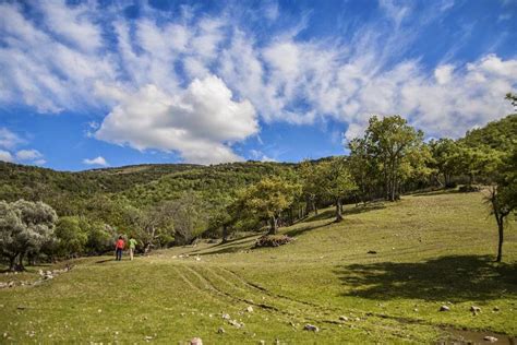 Parques Naturales de Andalucía que enamoran GUÍA 2024 25