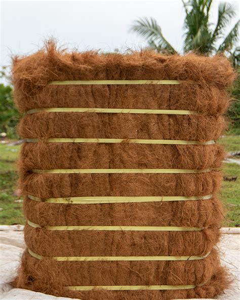 Coconut Fiber Coconut Fibre Coir Fiber Coir Fibre Inaexport