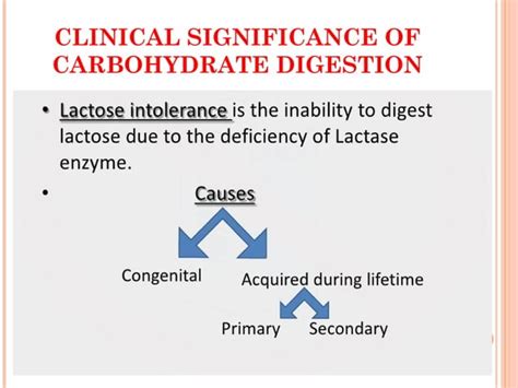 Digestion And Absorption Of Carbohydrates And Proteins