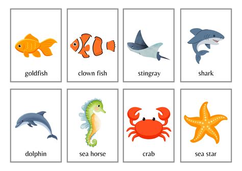 Sea Animal Flashcards (24) - Animal Flashcards - Sea Animals - Learning