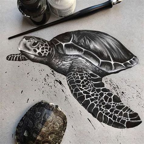 How To Draw A Realistic Turtle