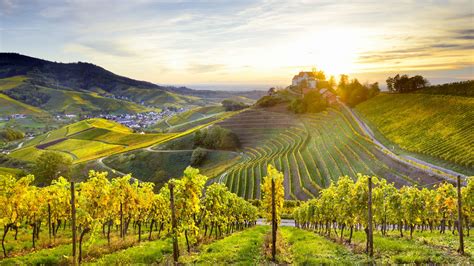 Weinanbauregionen Feine Tropfen Aus Gutem Grund Germany Travel