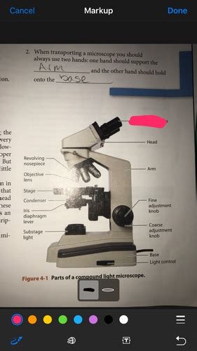 Microbio Lab Flashcards Quizlet