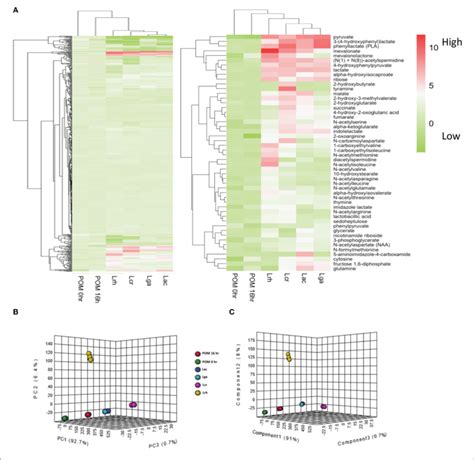 Global Metabolomic Analysis Overview A Hierarchical Cluster