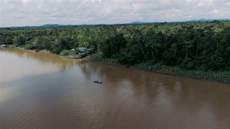 Step-by-Step Guide to an Unforgettable Kinabatangan River Safari