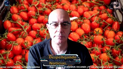 QUE CULPA TIENE EL TOMATE YouTube