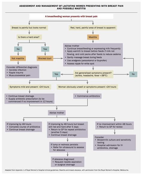 Mastitis In Women Symptoms