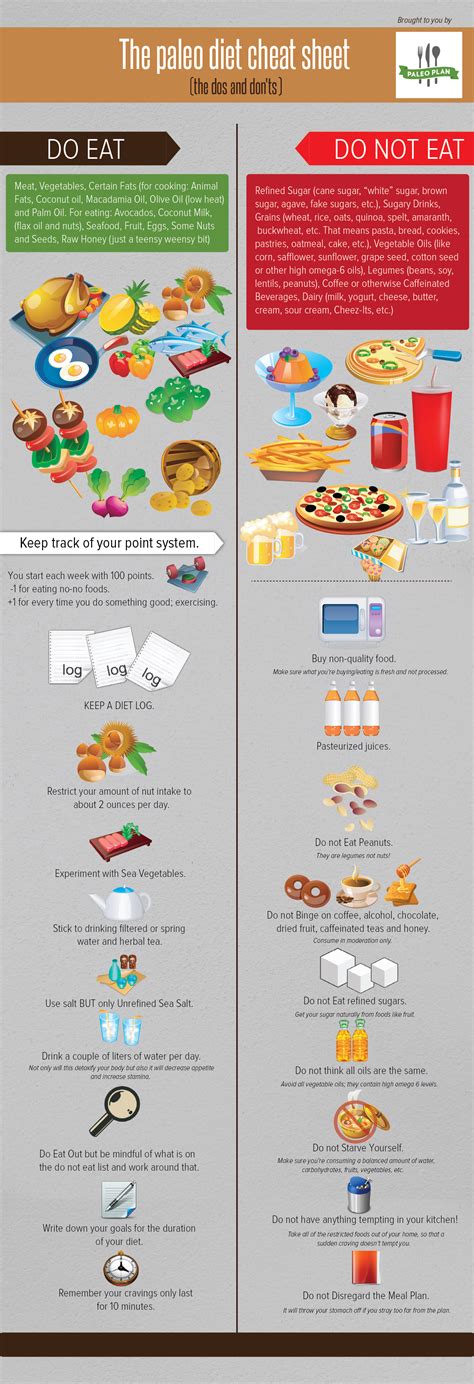 The Paleo Diet Tips Infographic - Best Infographics