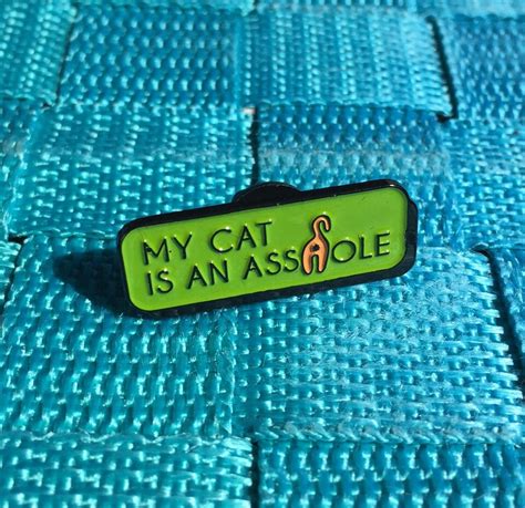 My Cat Is An Ahole Soft Enamel Pin 1 25 Kitty Cat Butt Etsy