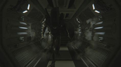 Videojuego Alien Isolation Fondo De Pantalla HD Wallpaperbetter