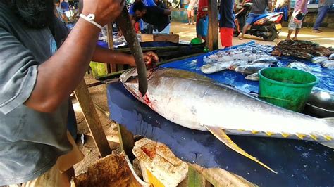 Never Seen Live 25Kg Big Fish Cutting Skills In Sri Lanka Best Fish