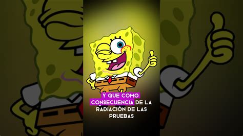 Curiosidades De Bob Esponja Bobesponja YouTube