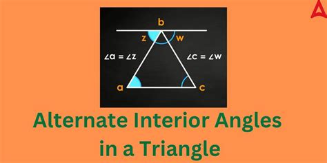 Alternate Interior Angles Definition Theorem Diagram Examples