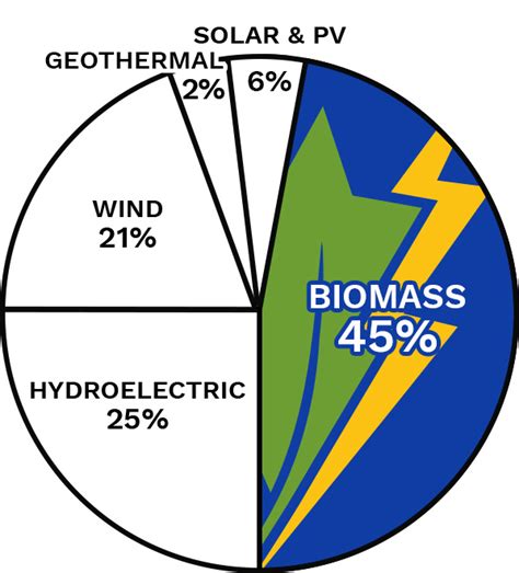 What Is Biomass Energy American Biomass Energy Association