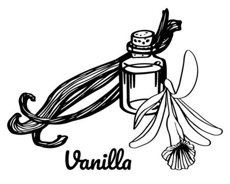 Explore Delightful Vanilla Extract Clipart For Your Creative Projects