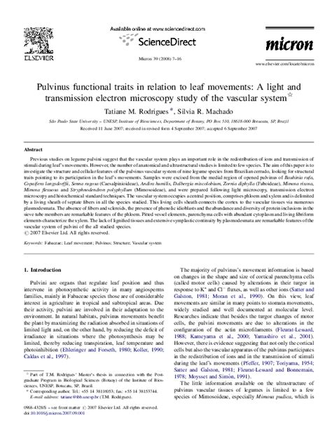 pulvinus functional traits  relation  leaf movements  light