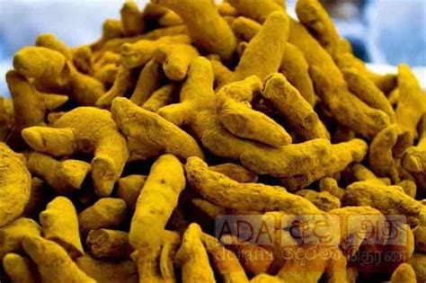 Customs Seizes More Than 7 000 Kg Of Illegally Imported Turmeric