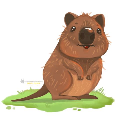 Day 125 Q For Quokka By Salvadorkatz On Deviantart